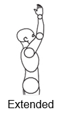 Back Extended