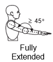 Elbow Extended