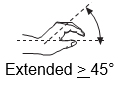 Wrist Extended
